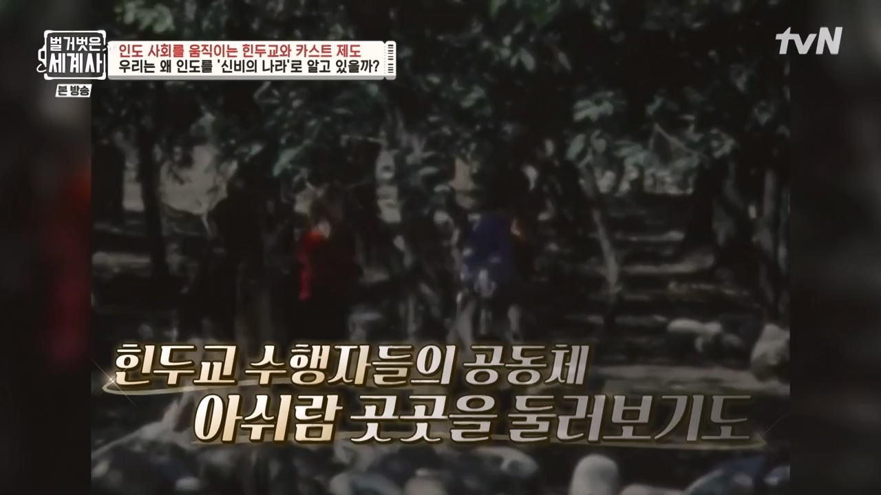 벌거벗은 세계사.E115.230906p-NEXT.mp4_20240406_181748.303.jpg