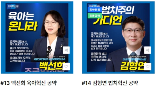 비례대표 후보공약