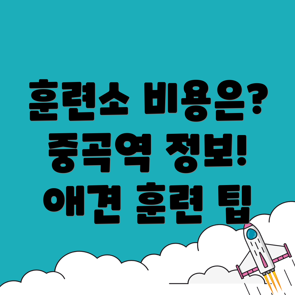 애견훈련소 비용