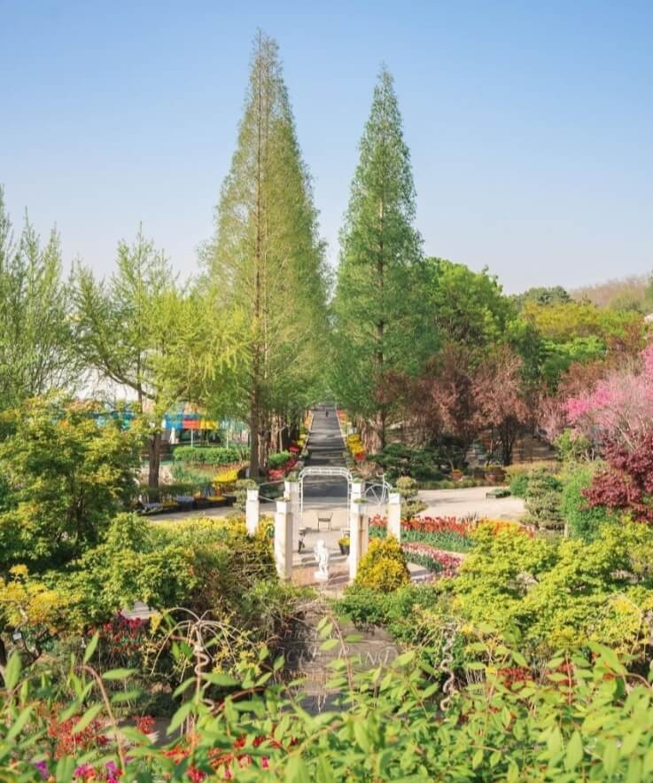 억만송이-봄꽃대향연-축제-정원