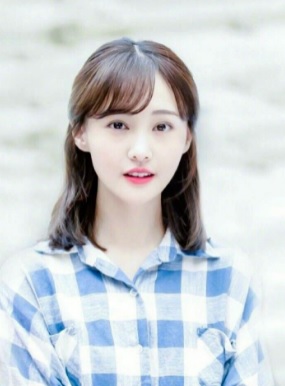  정솽 스캔들 탈세 그리고 대리모