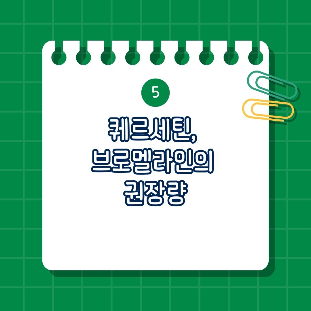 퀘르세틴(Quitertin) 브로멜라인(Bromelain), 퀘르세틴 브로멜라인 비교, 퀘르세틴 브로멜라인 권장량, 권장 섭취량