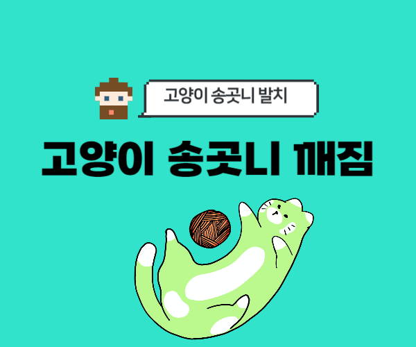 고양이-송곳니-부러짐-깨짐