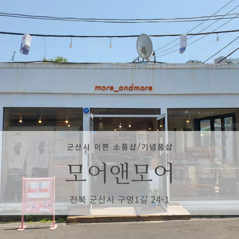월명동앤 이미지