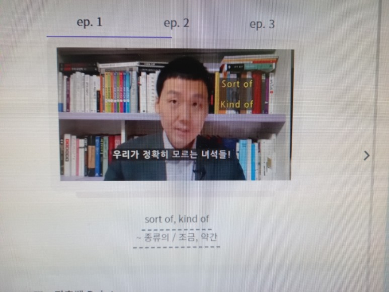 일대일영어회화, 랭디 (Langdy) 전화영어로 자막 2