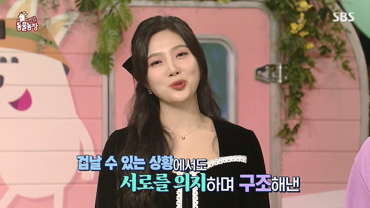 TV 동물농장.E1138.230918p-NEXT.mp4_20230917_174222.171.jpg
