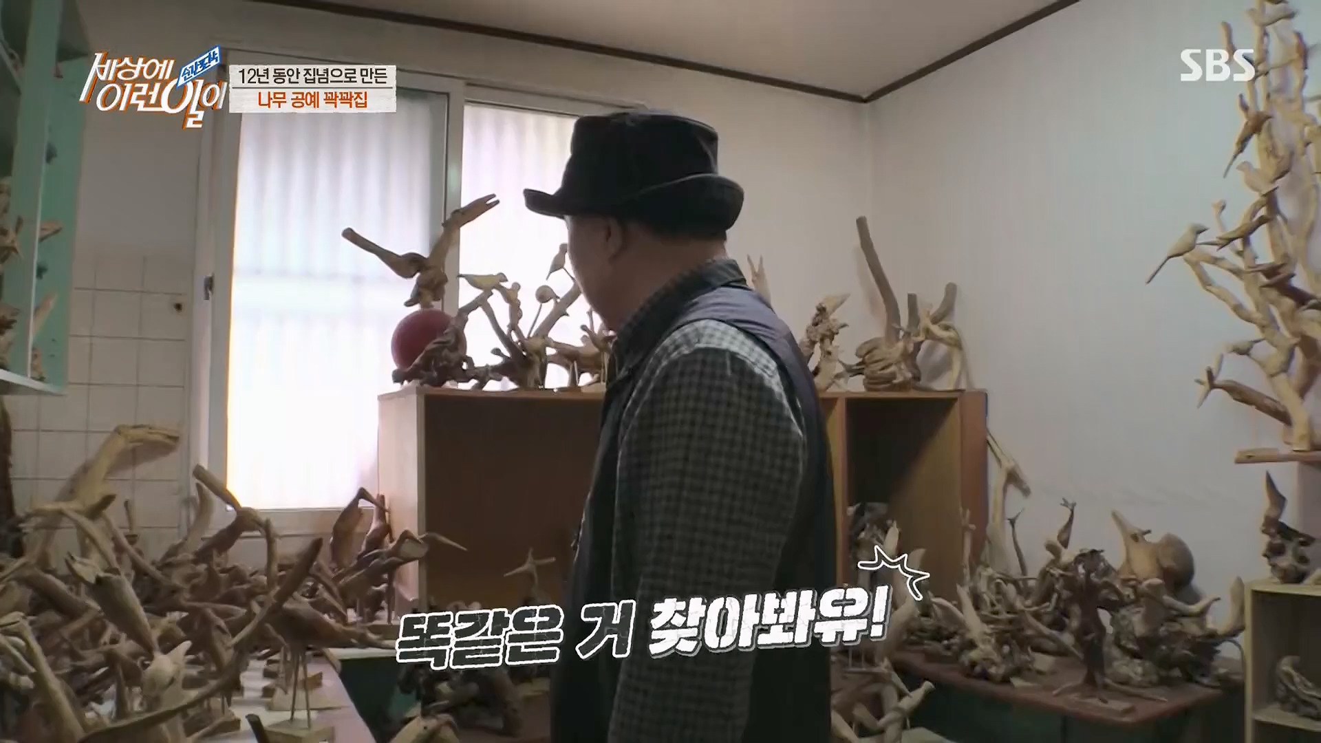 순간포착 세상에 이런일이.E1230.230516p.H264-F1RST.mp4_20230517_193655.251.jpg