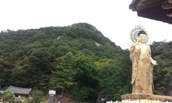 소백산 비로봉 연화봉 등산 완벽 산행코스 소요시간 주차팁과 철도 정보_20
