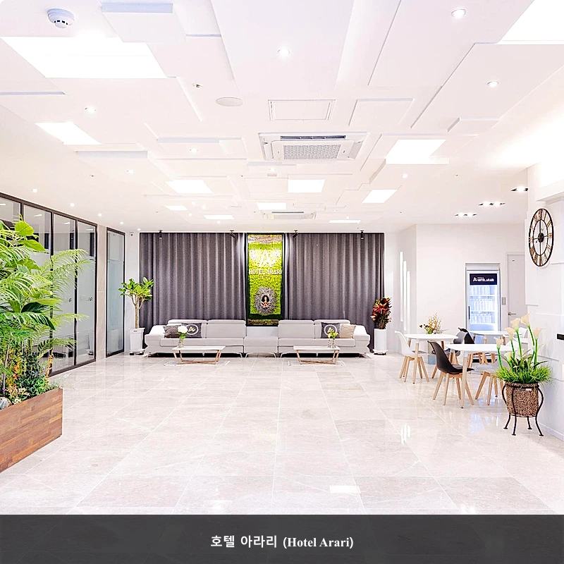 호텔 아라리 (Hotel Arari)_3