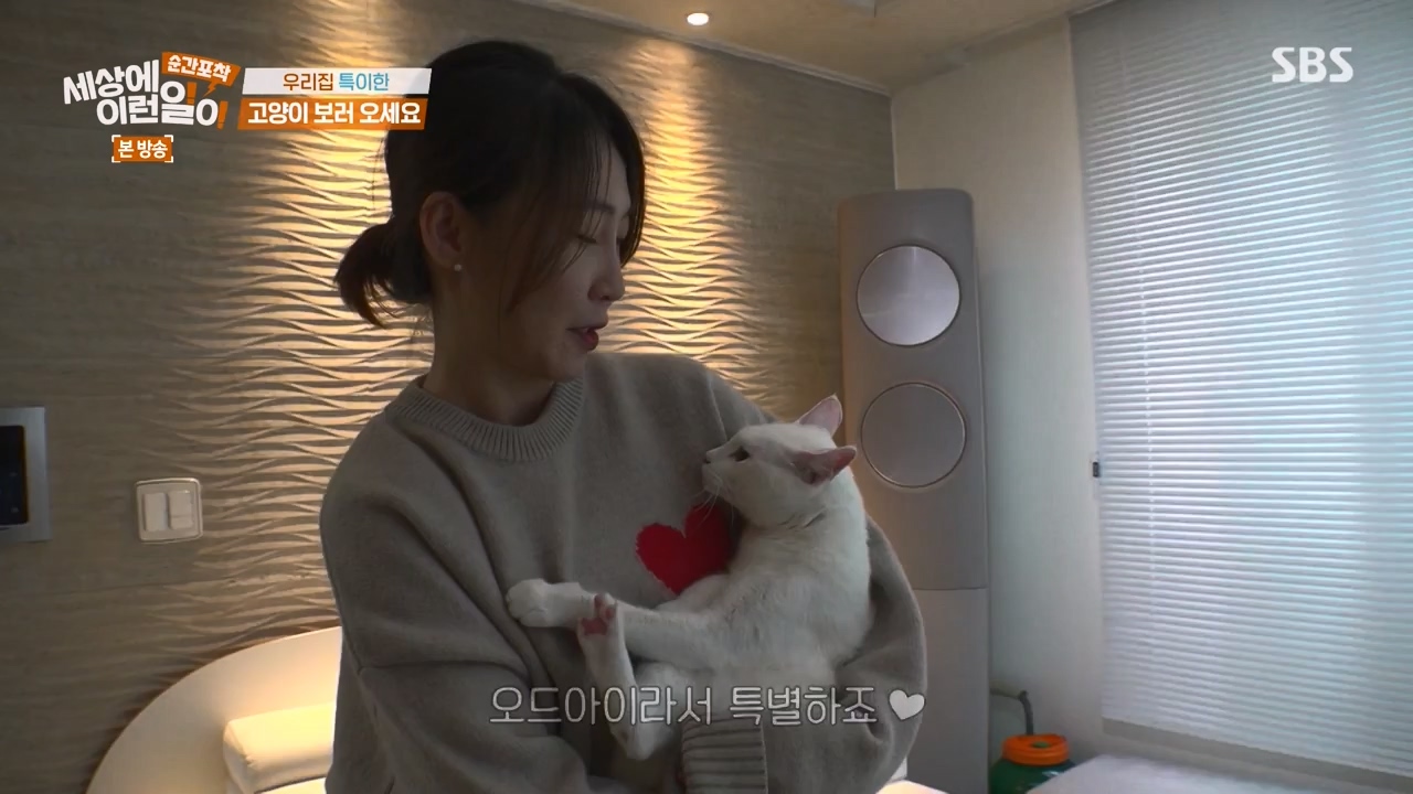 순간포착 세상에 이런일이.E1250.231029p-NEXT.mp4_20231029_153354.502.jpg