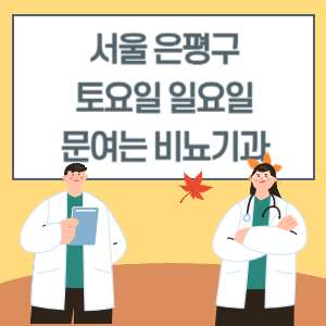 서울 은평구 토요일 일요일 비뇨기과 진료 병원 리스트