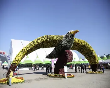 마산 가고파 국화축제_19