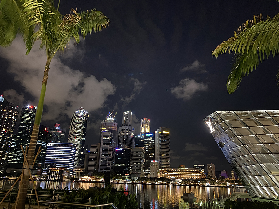 싱가포르 금융가 야경을 배경으로 보이는 LV매장