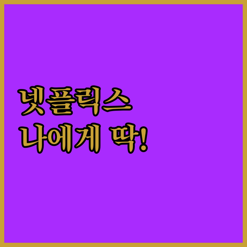 넷플릭스 요금제 고민 끝! 나에게 맞