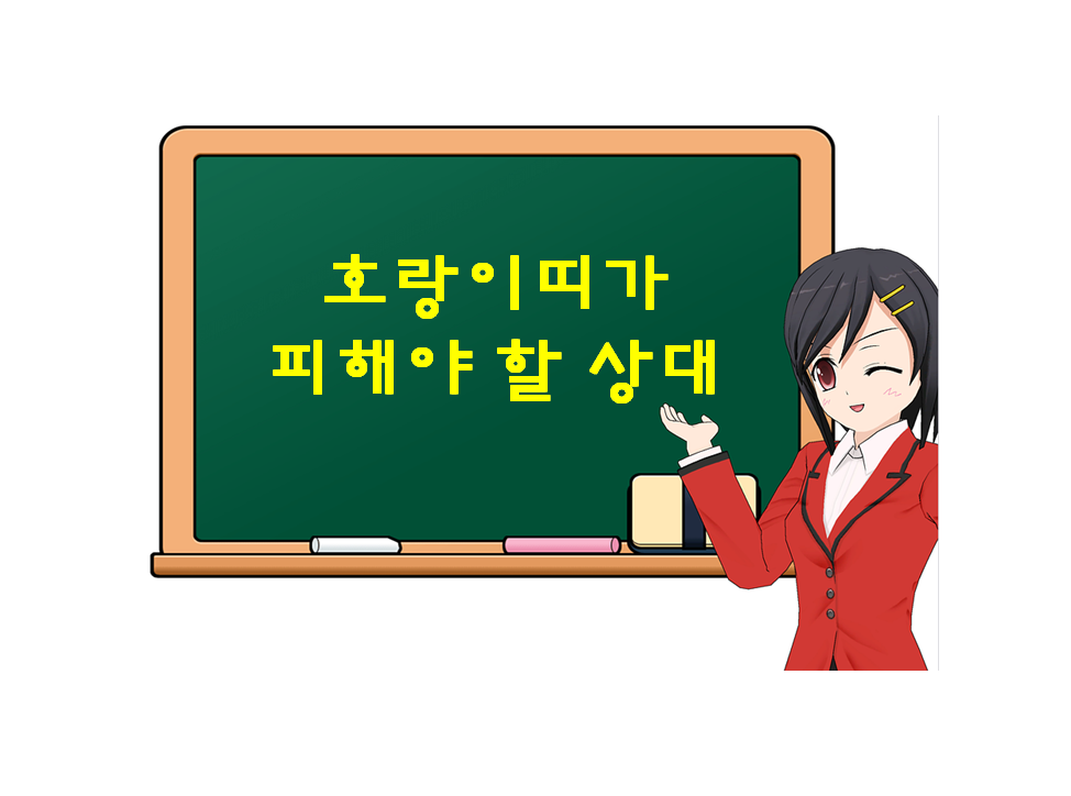  호랑이띠가 피해야 할 상대, 소띠와는 상극인 것인가?