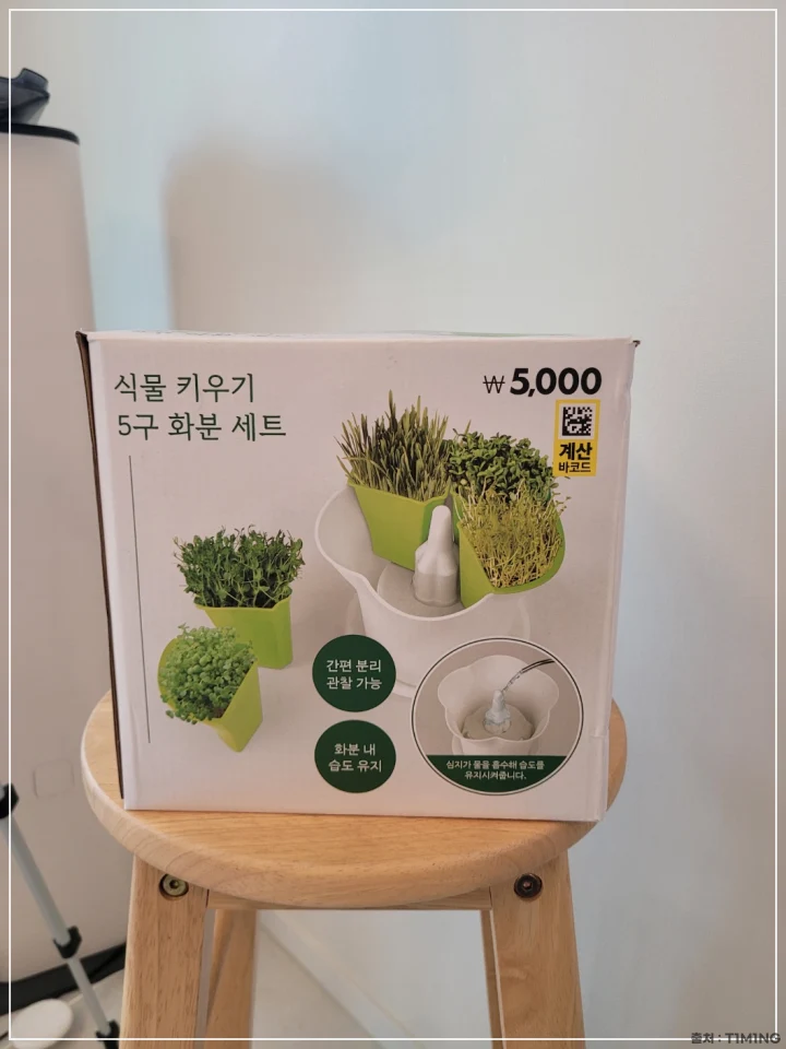 다이소 5구 화분 세트 내용물 사진