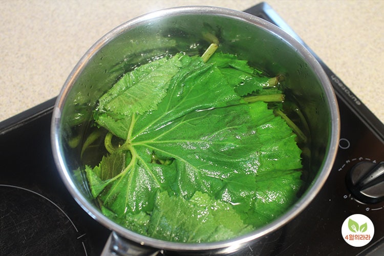 머위잎을 데치기 위해 끓는 물이 담긴 냄비에 넣은 사진