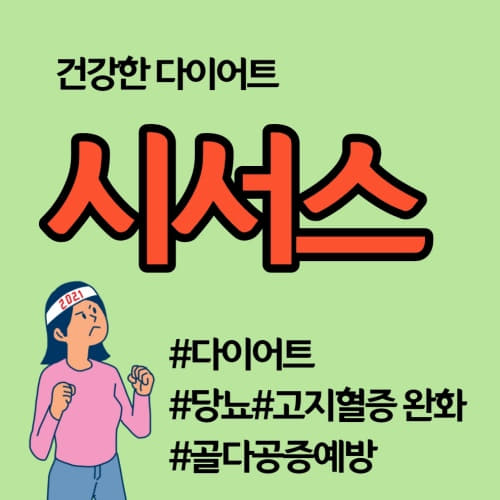  다이어트 당뇨 고지혈증 시서스 시서스 추출물 가루 부작용 없이 먹는법 복용법(cissus)