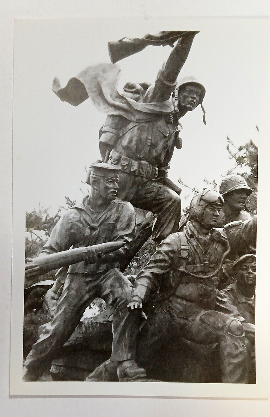 내가 찍은사진