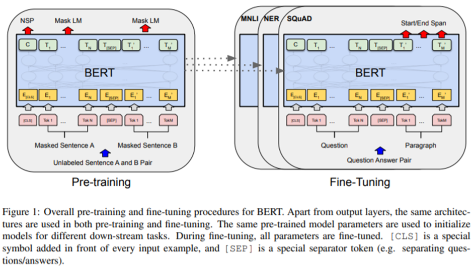  BERT: Pre-training of Deep Bidirectional Transformers for Language Understanding