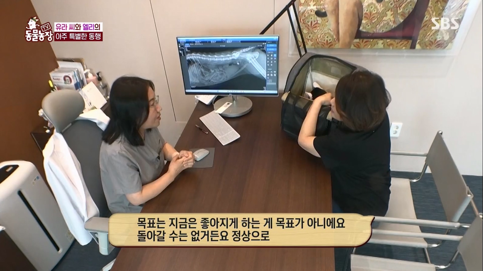 TV 동물농장.E1127.230702p.H264-F1RST.mp4_20230704_212716.950.jpg