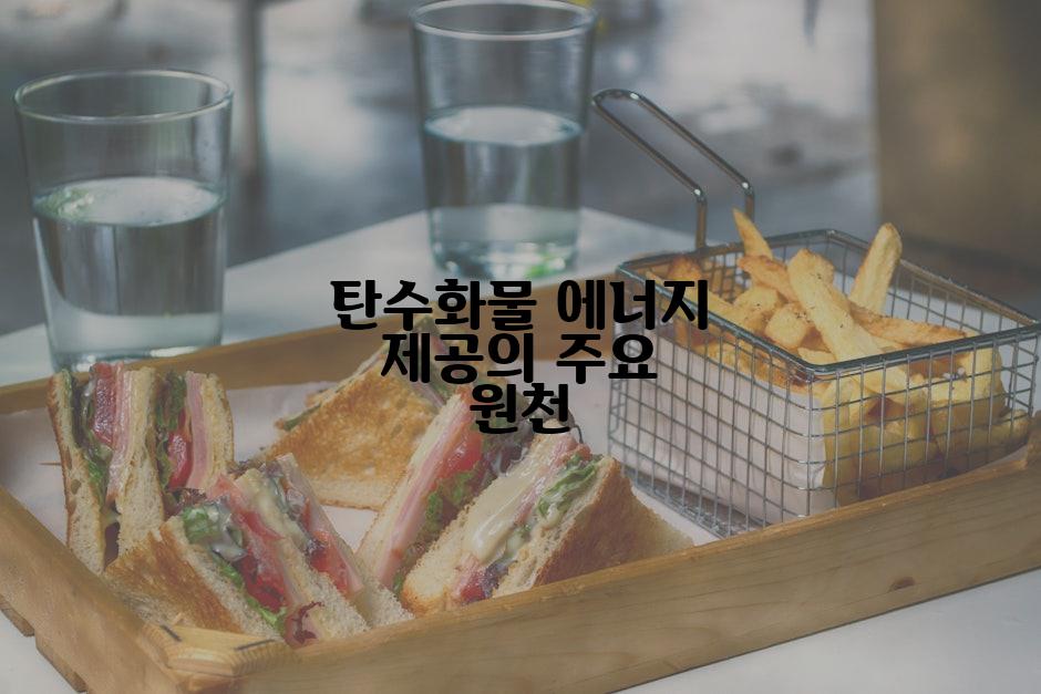 탄수화물 에너지 제공의 주요 원천