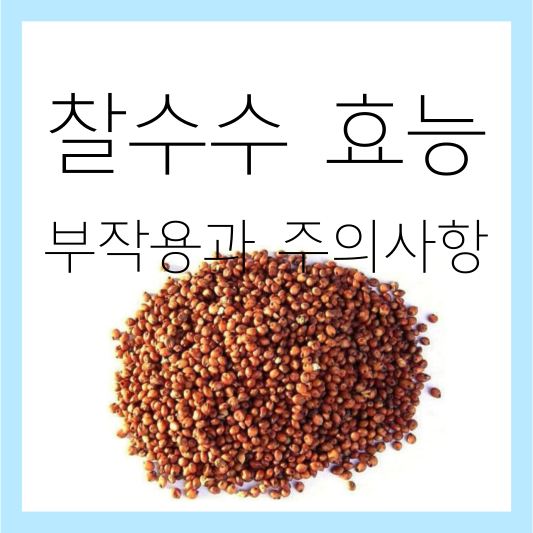 찰수수 효능, 부작용과 주의사항 썸네일