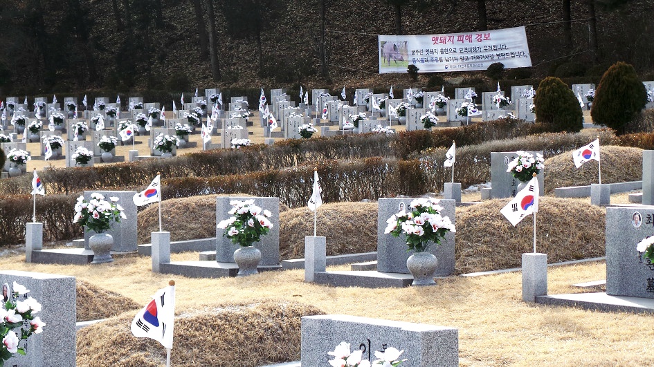 수많은 묘비석들&#44; 각각에 흰꽃 조화와 태극기 물결&#44; 강하게 비쳐내리는 햇빛&#44; 뒤로는 산자락&#44;