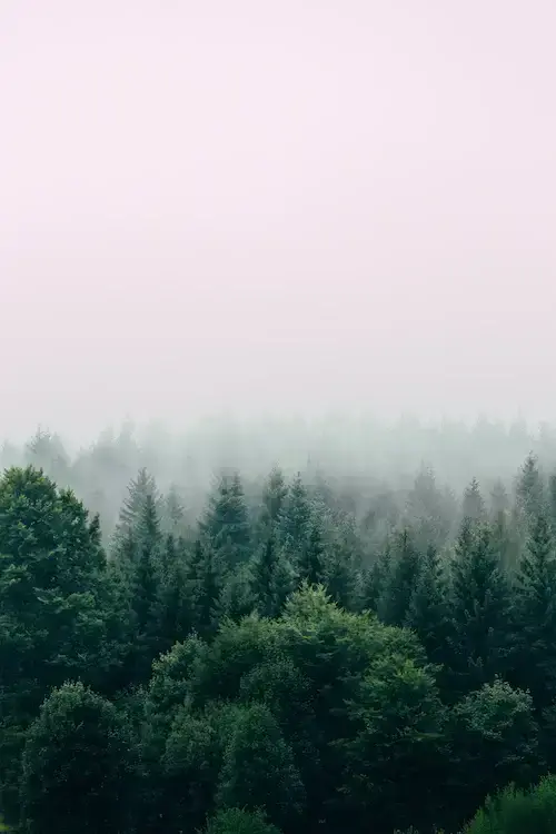 국립공원