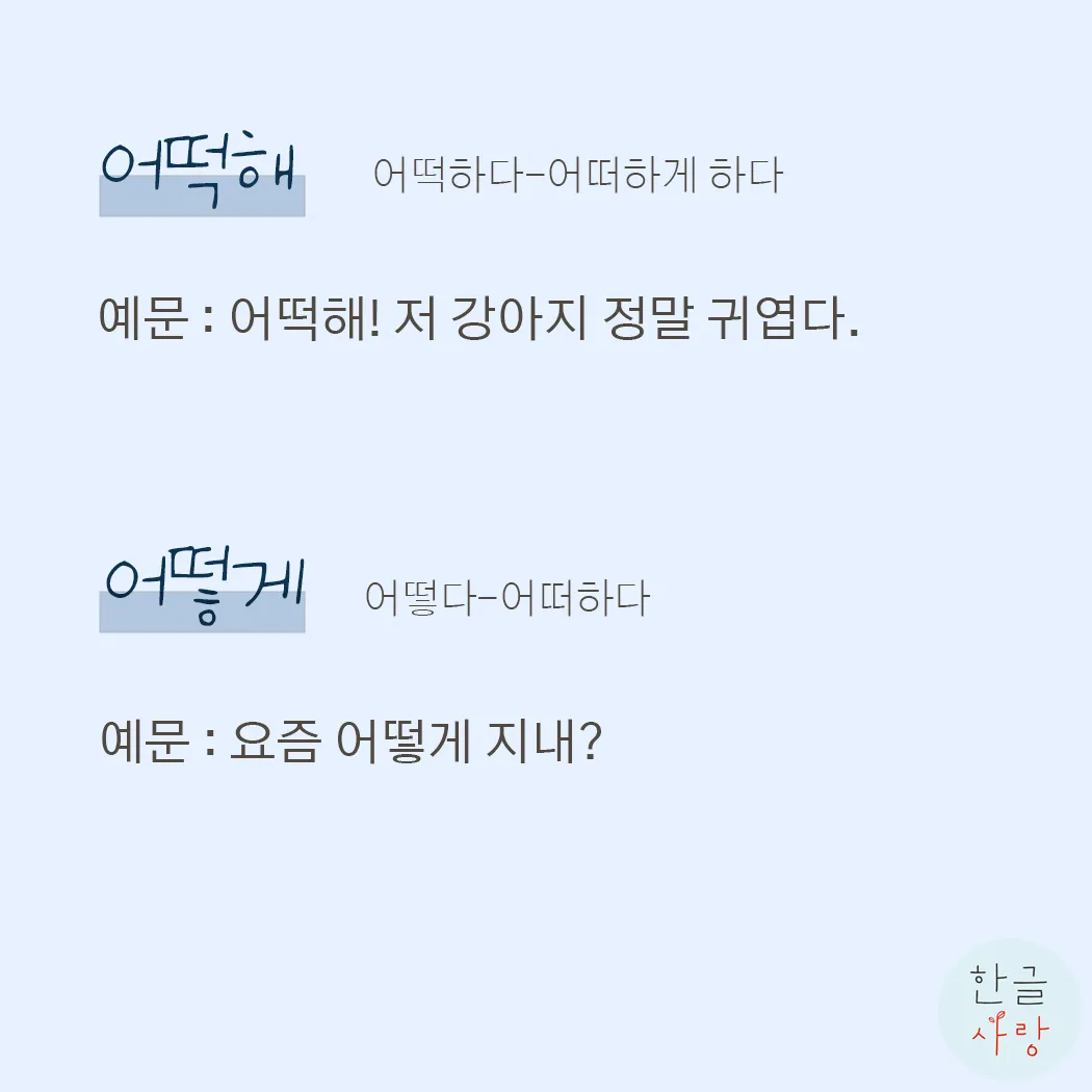 어떻게 어떡해 맞춤법 맞는 표현_5
