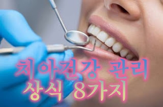 치아건강-관리상식