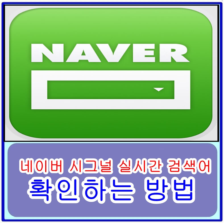 네이버 시그널 실시간 검색어