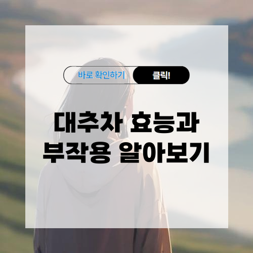 대추차 효능과 부작용 알아보기