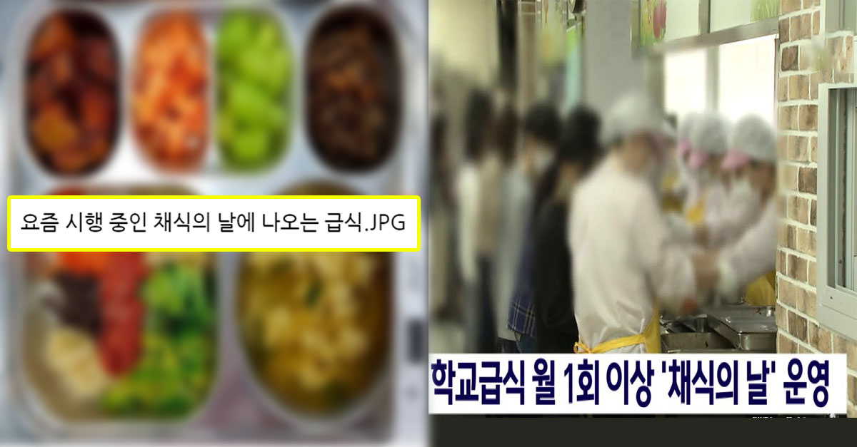  요즘 중고등학교에서 시행 중인 채식의 날에 나온 급식 모습