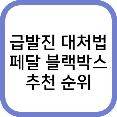 급발진 대처법 페달 블랙박스 추천 순위