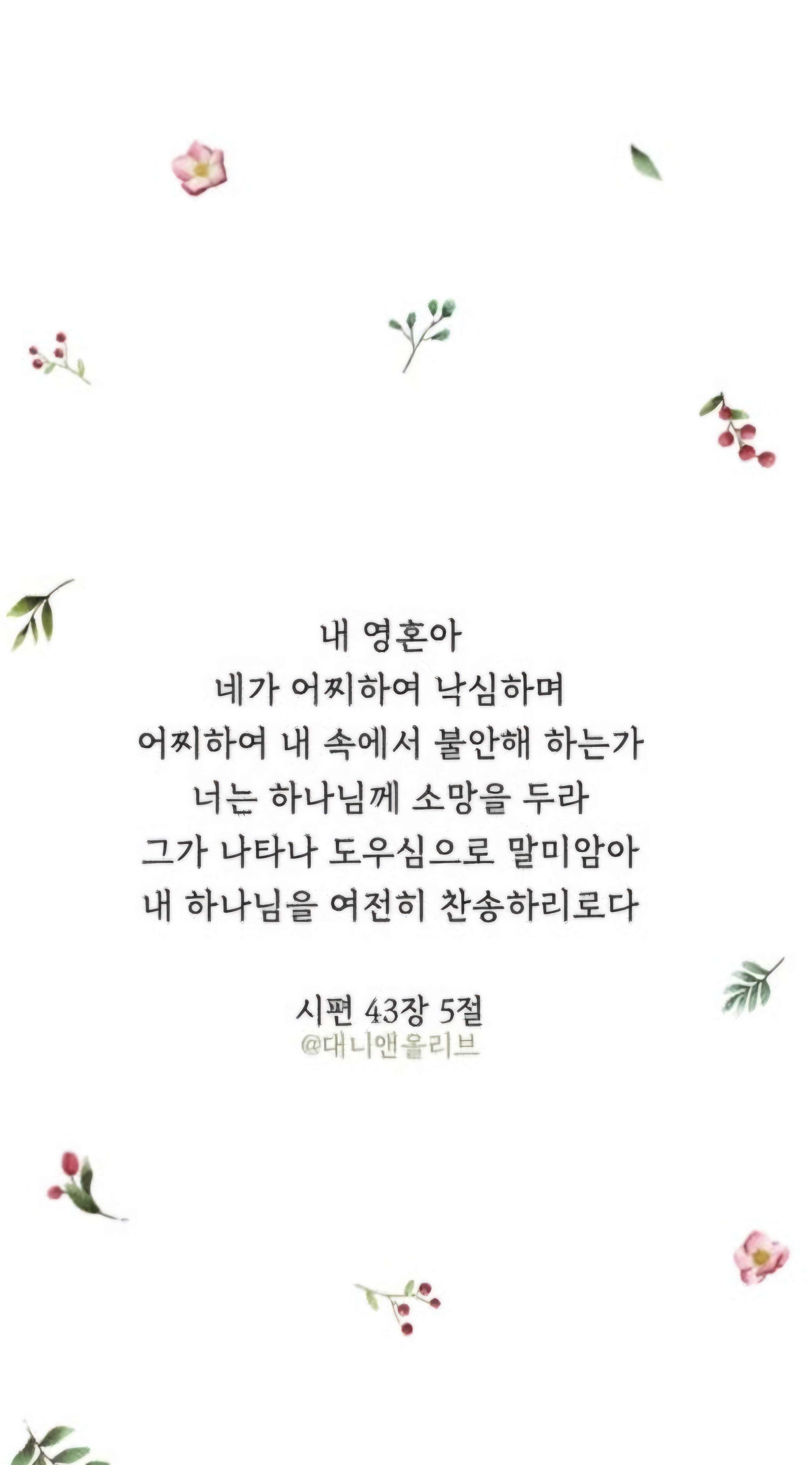 아시네일 이미지