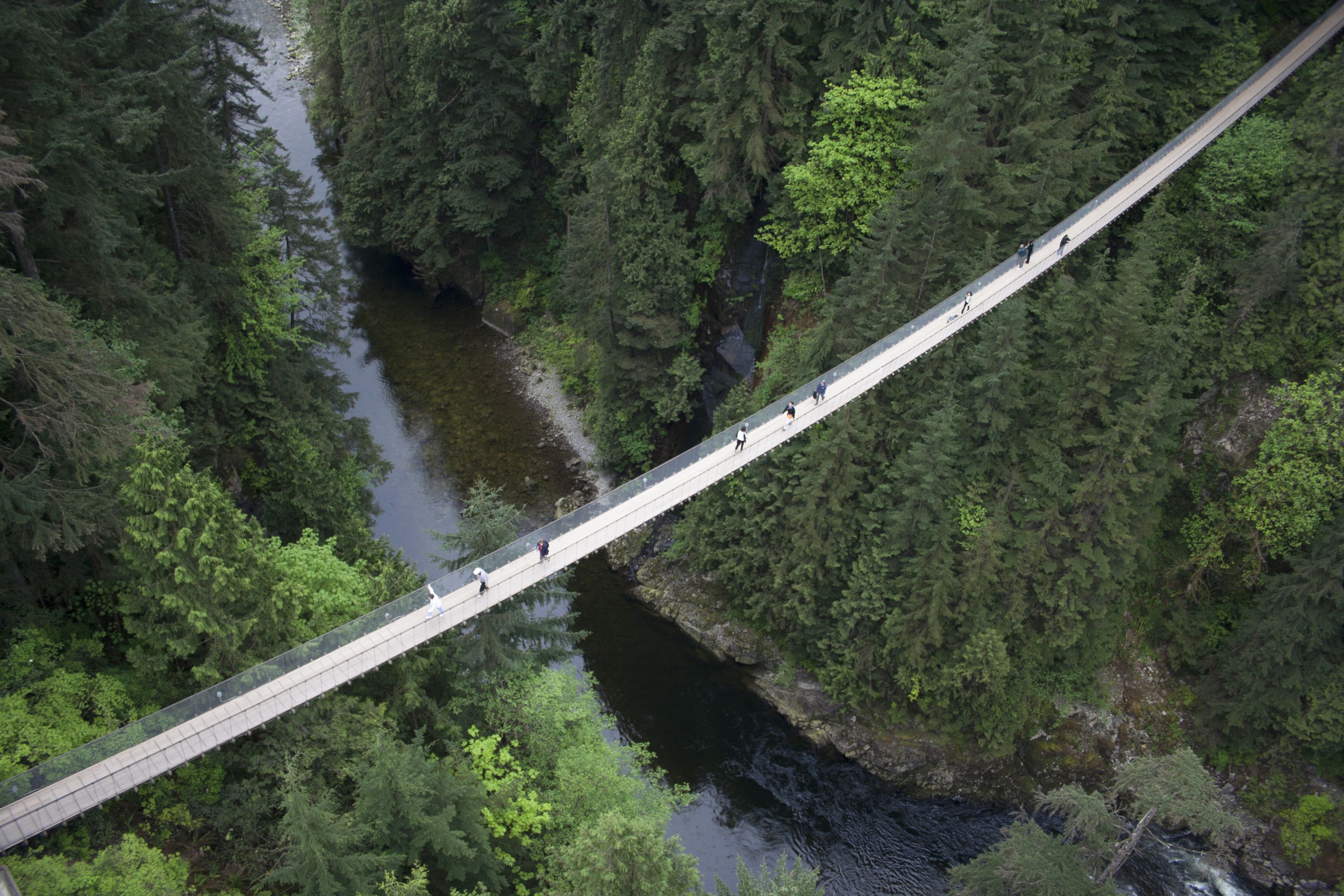 캐피라노 현수 다리(Capilano Suspension Bridge)