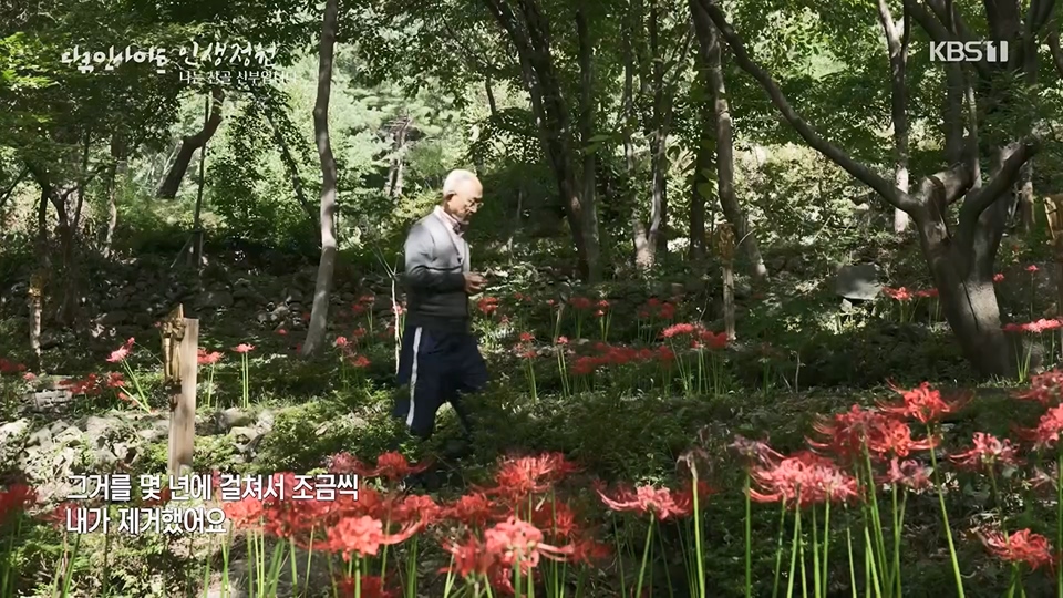 다큐 인사이트.E153.230608p.H264-F1RST.mp4_20230612_204526.849.jpg