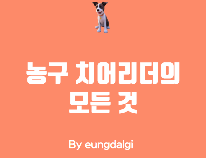 농구 치어리더에 대한 모든 것