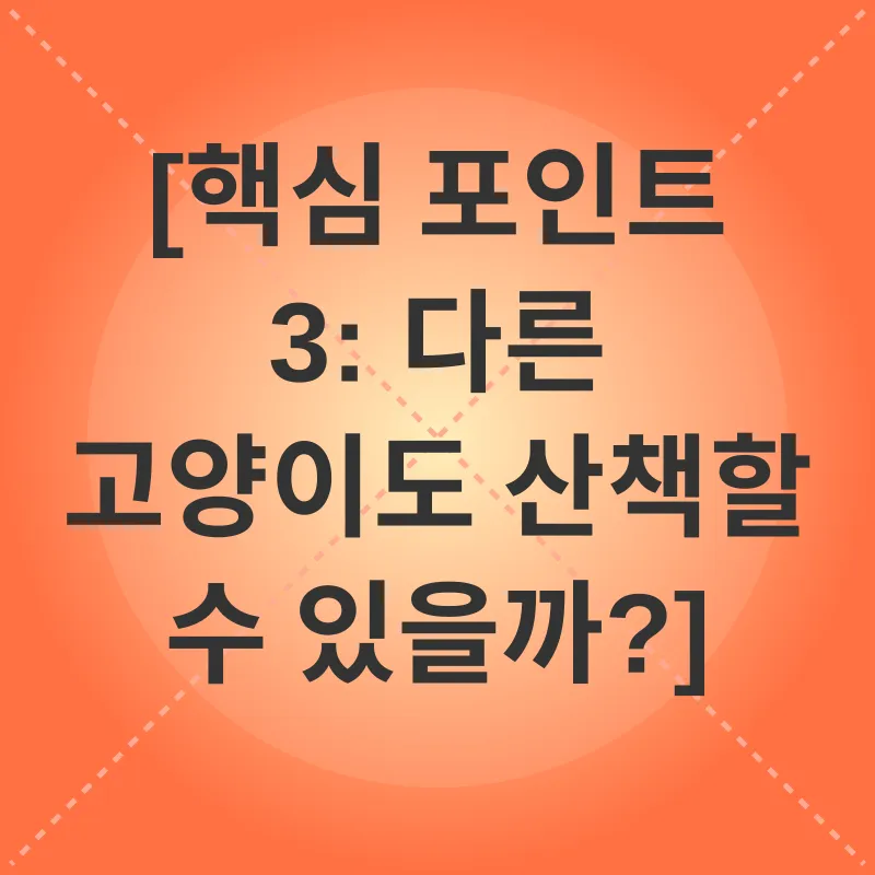 뱅갈고양이 산책_3