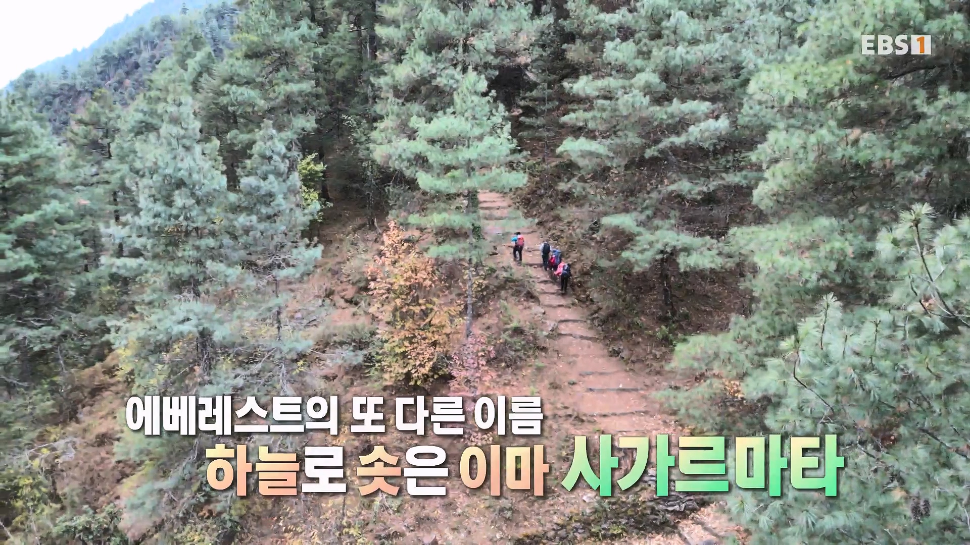 세계테마기행 240122 이것이 진짜! 네팔 에베레스트 -일생에 한 번은, 사가르마타0p.mp4_20240717_200820.045.jpg