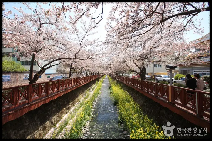  환절기만 되면 고통받는 알레르기 비염 과연 완치할 수 있을까
