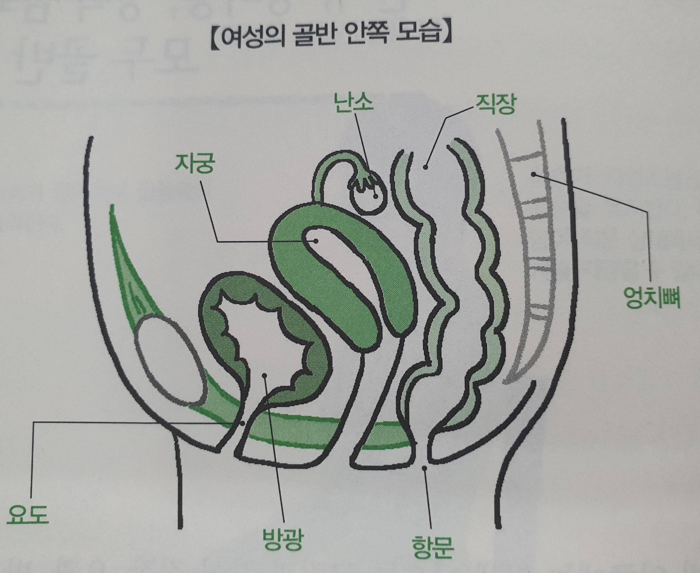 똑바로 바르게 앉는 자세 및 방법 총정리(feat. 허리 통증&amp;#44; 어깨결림&amp;#44; 골반 통증)