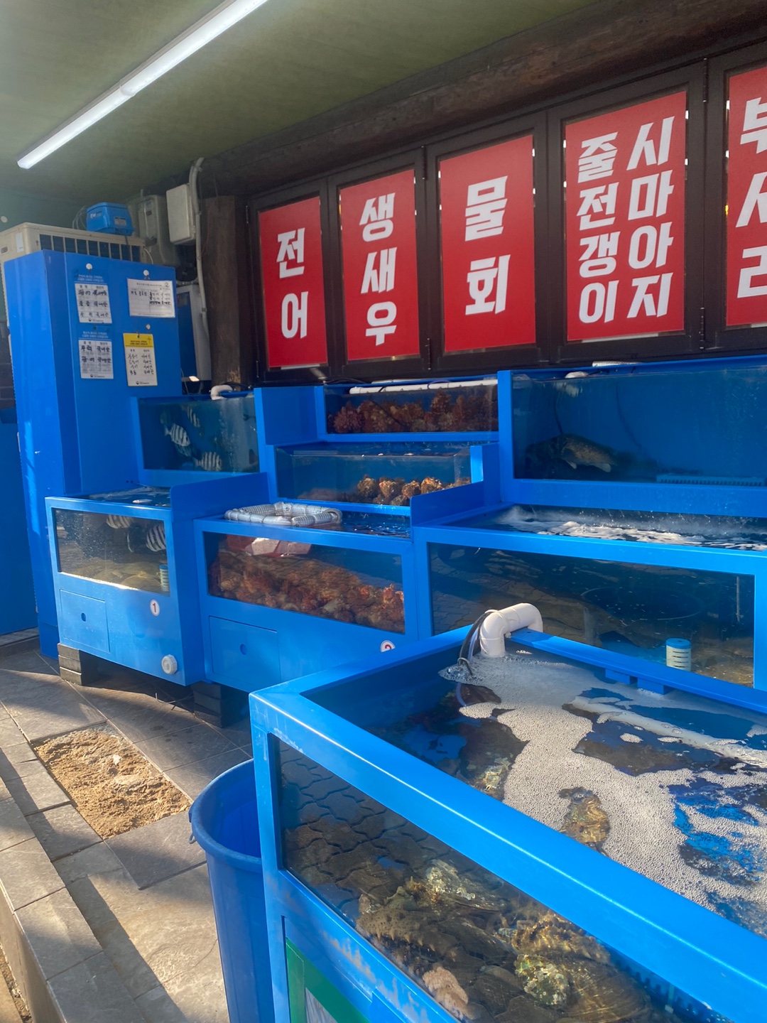 바다회사랑 물회