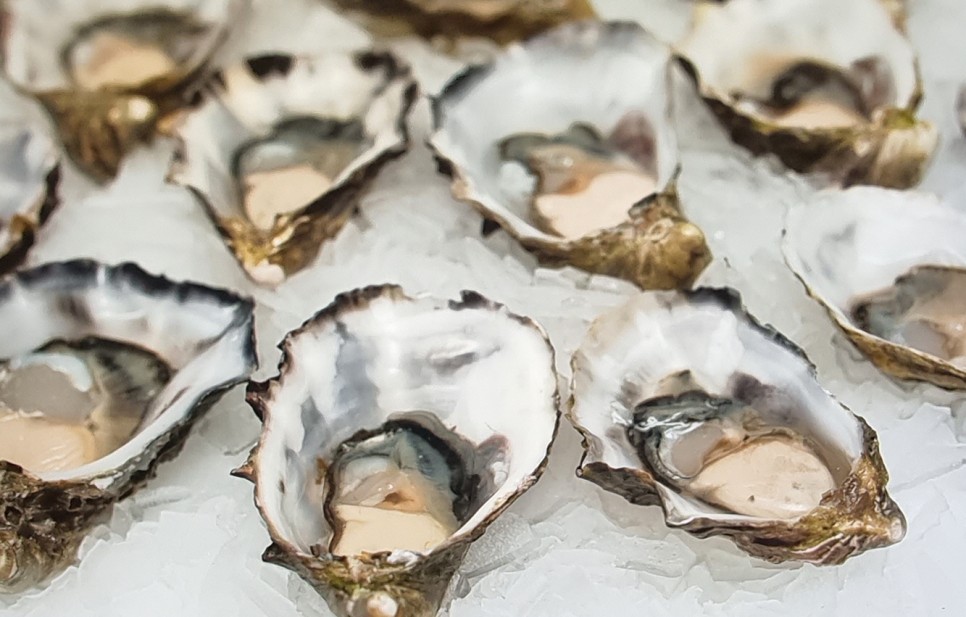 철분 많은 고기 철분이 많은 2