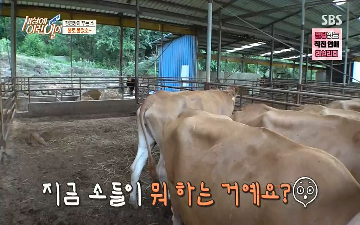 순간포착 세상에 이런일이.E1190.220727p-NICE.mp4_20220727_202103.752.jpg