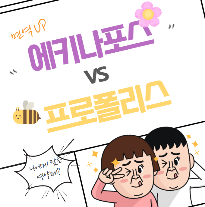 에키나포스 vs 프로폴리스: 당신에게 적합한 면역 보조제는?