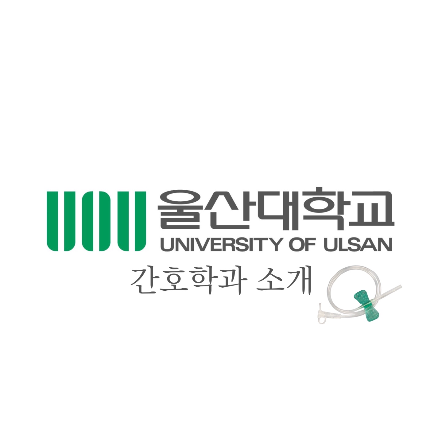  울산대학교 간호학과 / 졸업생 찐후기 / 서울아산병원 취업