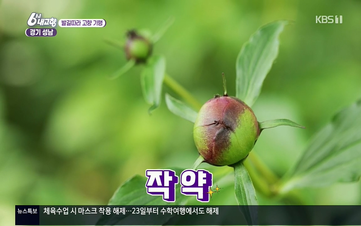 6시 내고향.E7530.220512p.H264-F1RST.mp4_20220516_190846.594.jpg