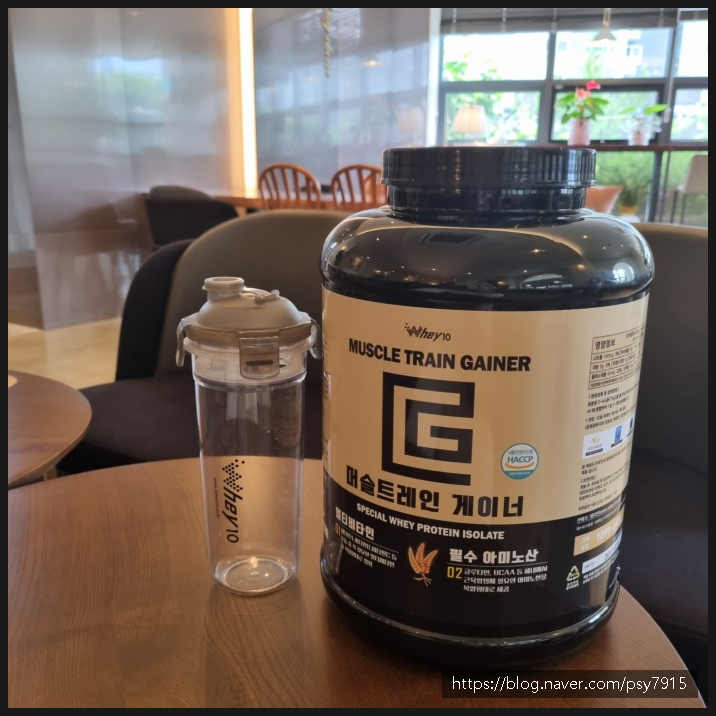 살찌는 프로틴으로 관리해요 5